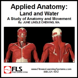 Applied Anatomy Logo