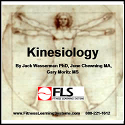 Kinesiology Logo