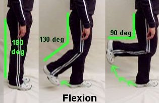 flexion
